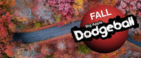 FALL DODGEBALL REGISTRATION INFO!