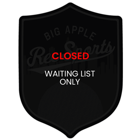 Big Apple Dodgeball - Sunday - Open Division - Fall 2025